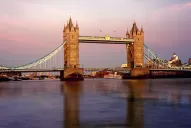 Las anguilas del Támesis se han hecho hiperactivas a causa de la cocaína