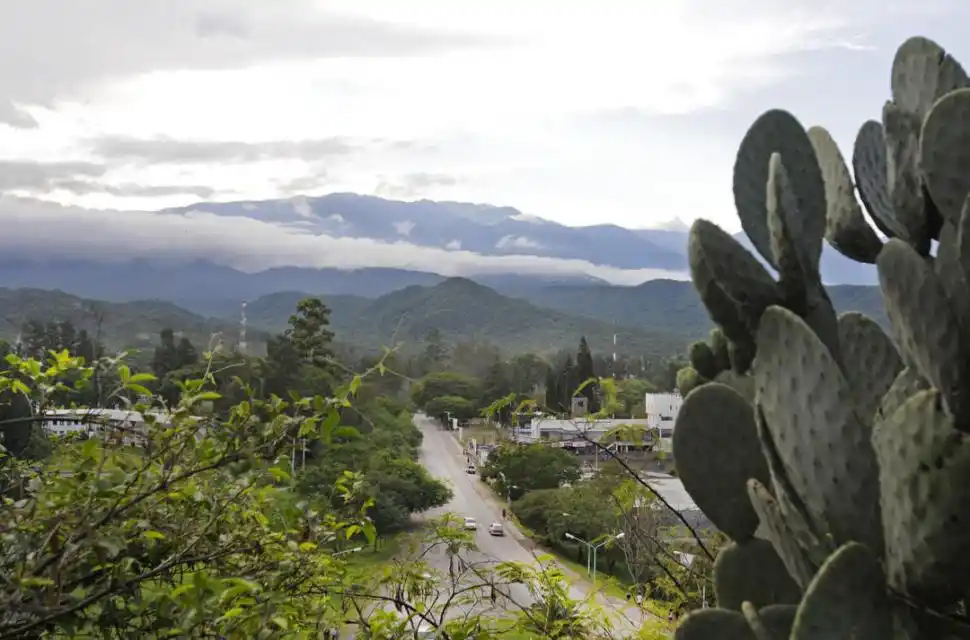 AFECTADOS. En muchas zonas de la villa veraniega el suministro es escaso: sólo devuelven el agua unas pocas horas por la noche.  