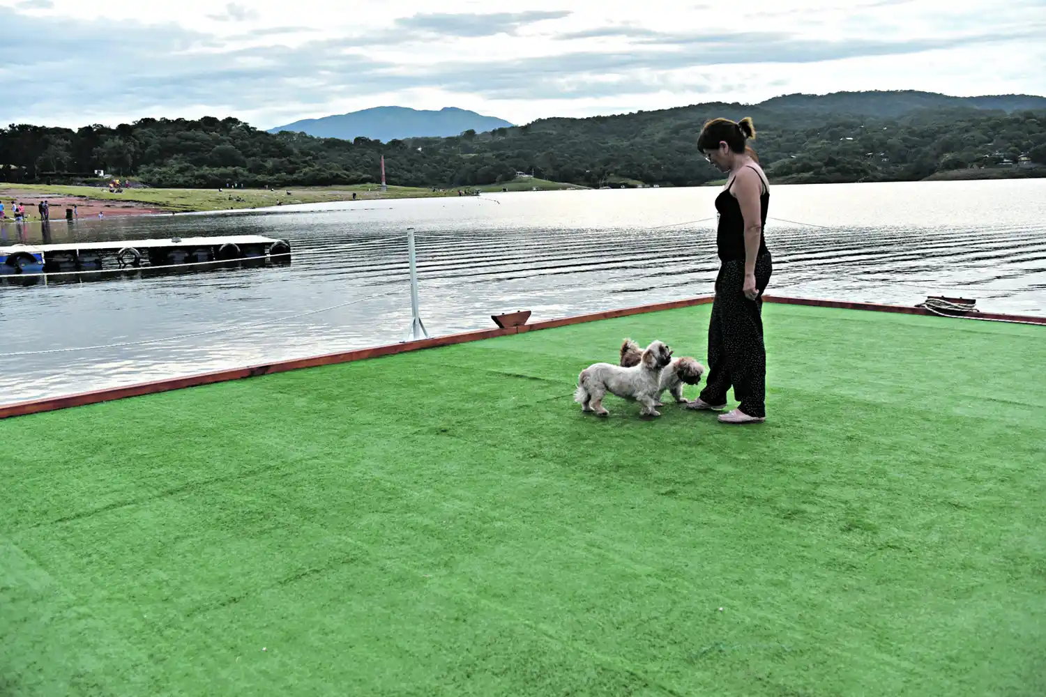 Bar flotante con césped artificial