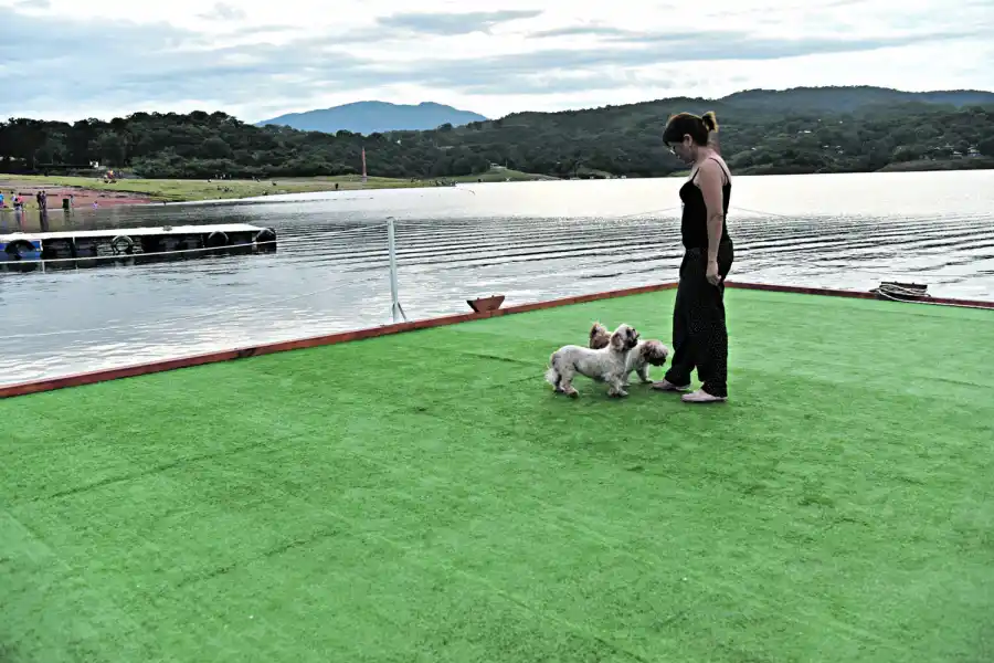 Bar flotante con césped artificial