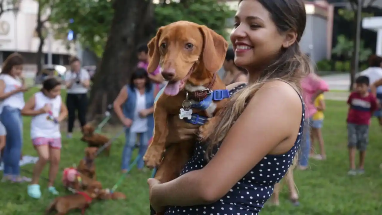 Perros salchichas: el auge de una raza que renace del olvido