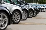 El patentamiento de autos se desplomó 50% en enero respecto al mismo mes de 2018