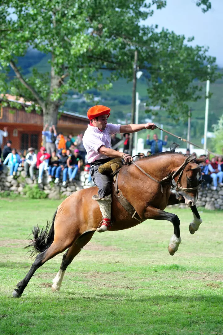 DESTREZAS GAUCHAS. Desde las 10 se desarrollará el VII Encuentro de Doma, con espectáculos folclóricos. FOTO DE la gaceta / (archivo) 