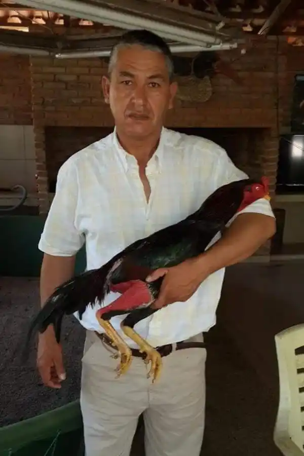 FANÁTICO. El uniformado es un conocido “gallero” en la zona sur.