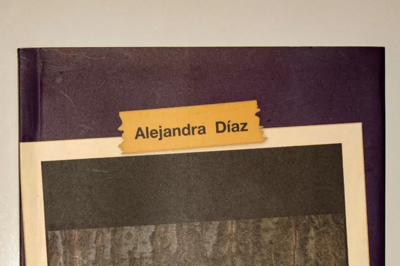 Polaroid, de Alejandra Díaz.
