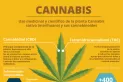 Jujuy tendrá el primer centro de elaboración de cannabis medicinal