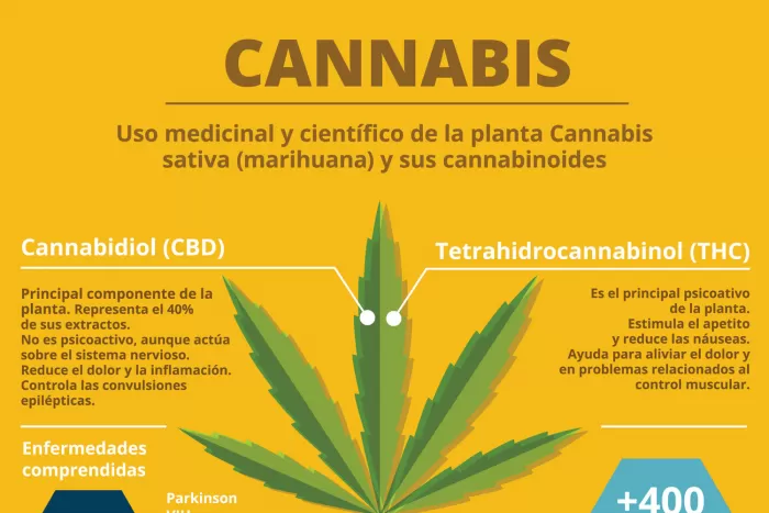 Jujuy tendrá el primer centro de elaboración de cannabis medicinal 