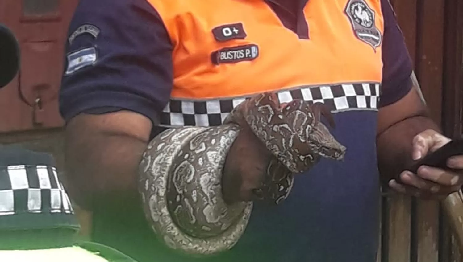 EXTRAÑO HALLAZGO. Una serpiente fue encontrada en barrio sur.