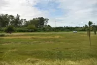 El Gobierno prometió un árbol por tucumano pero la consigna se quedó en los carteles