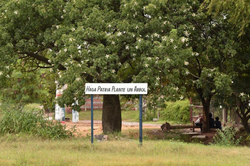 CONSIGNA EN EL ACCESO ESTE. Un vecino puso su propio cartel pro árbol.