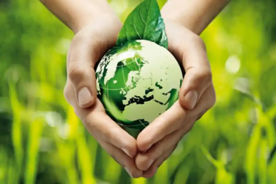 Una ONG ofreció al Papa un millón de dólares si él no come carne durante la Cuaresma