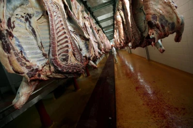 Crece la venta de carne al exterior y se estanca en el país
