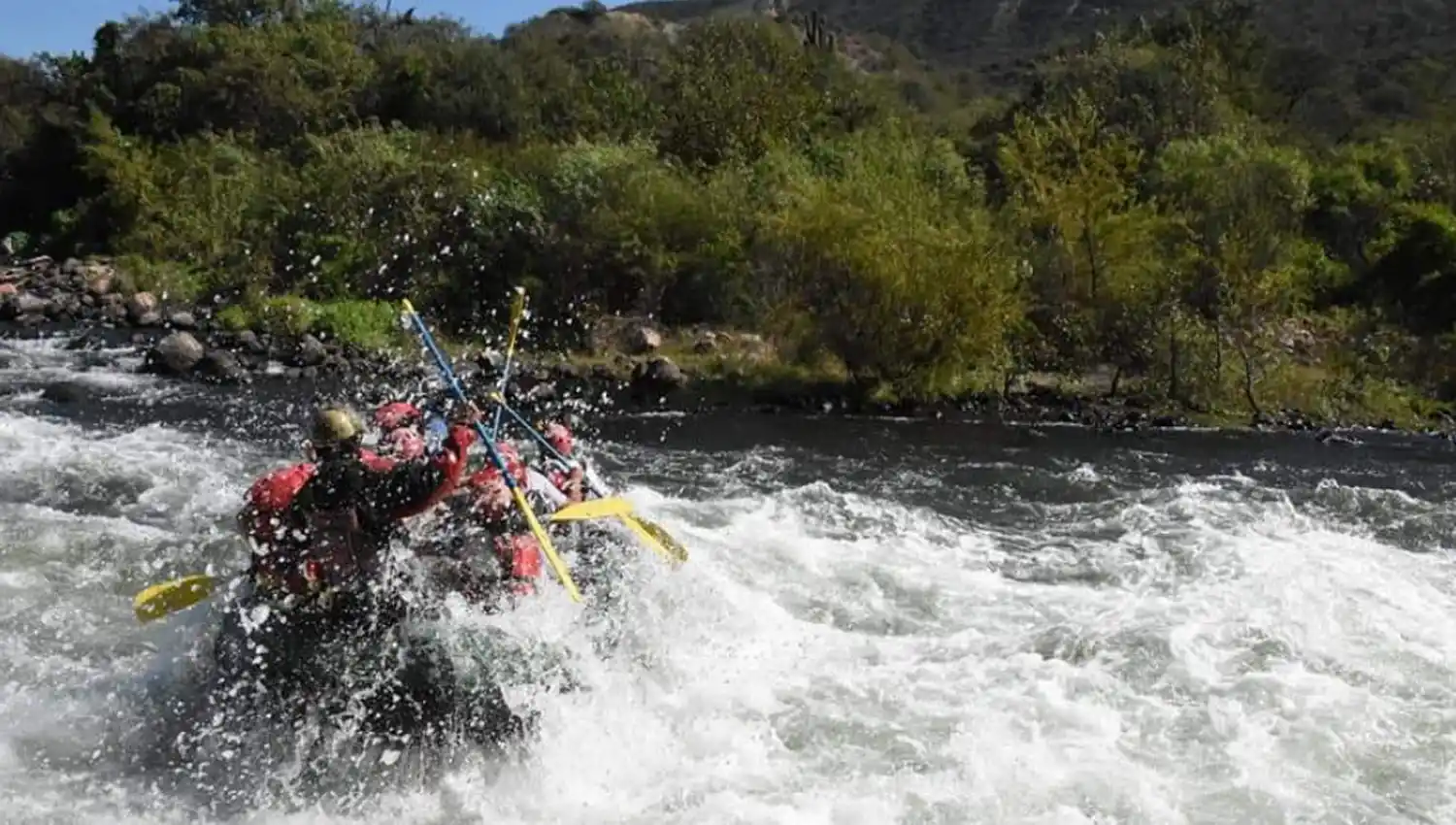 Una idea que les devolvió la risa a los chicos del Belgrano
