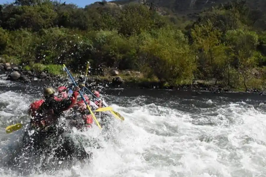 Una idea que les devolvió la risa a los chicos del Belgrano