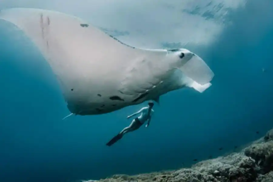 Yo te recomiendo: tres series imperdibles para darle play