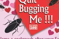 Anti San Valentín: un zoológico propone bautizar una cucaracha con el nombre de tu ex
