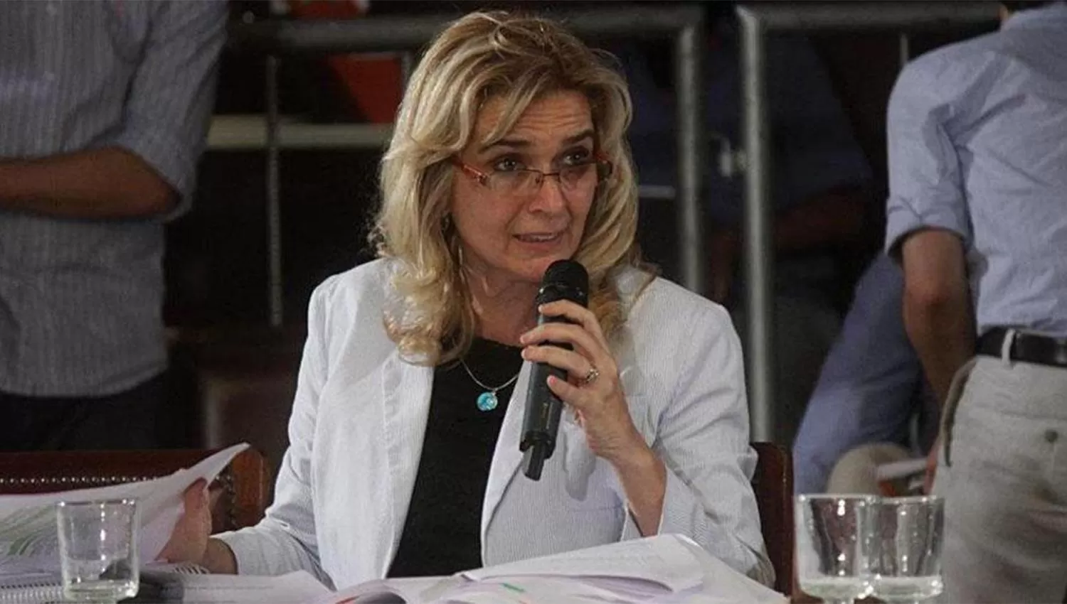 Elías de Pérez adelantó que sumará pruebas contra Rodríguez en el Consejo