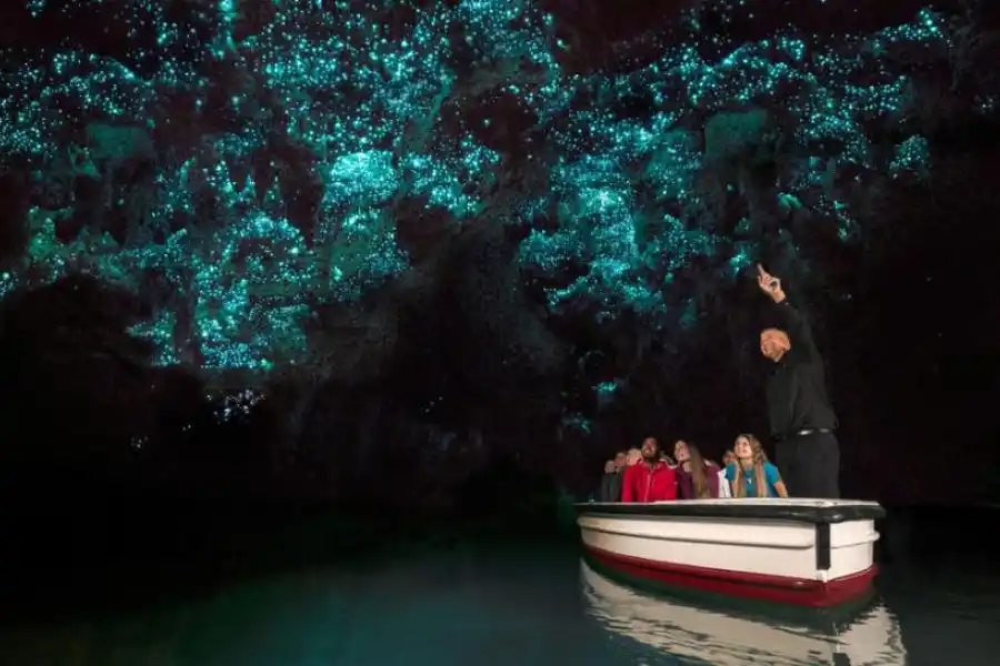 El Santuario de las Luciérnagas: danza de luz en el bosque de México