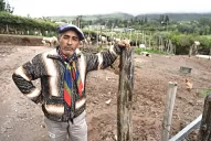 La Fiesta del Queso: con el Patio Criollo, reviven las tradiciones tafinistas