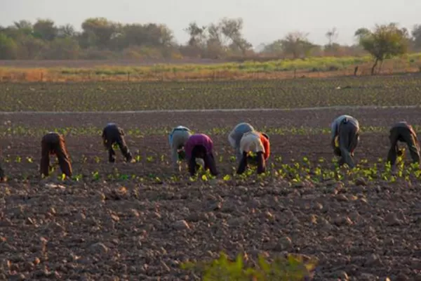 Unos 12.000 trabajadores rurales se quedaron sin cobrar las asignaciones familiares