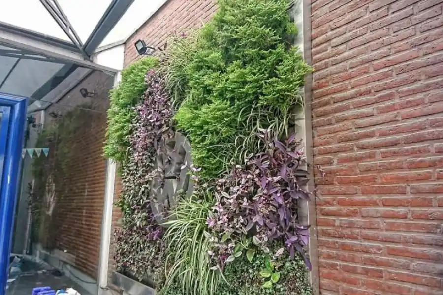 MUROS VERDES. Los diseños sustentables de las arquitectas tienen diferentes tamaños y poseen variadas especies de plantas. fotos gentileza de “BioARQ”