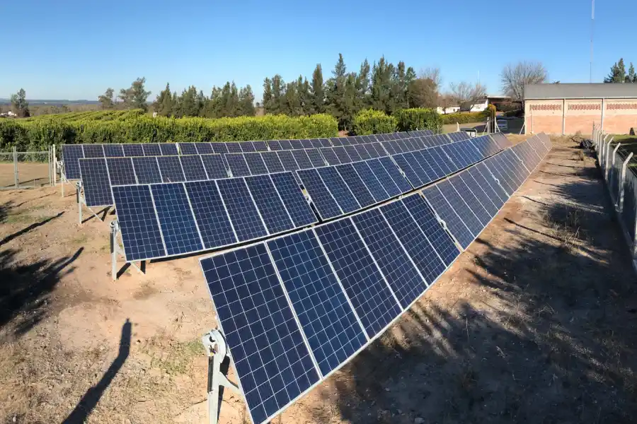 Productor de citrus – Los Nogales