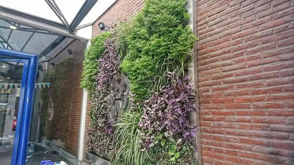 MUROS VERDES. Los diseños sustentables de las arquitectas tienen diferentes tamaños y poseen variadas especies de plantas. fotos gentileza de “BioARQ”
