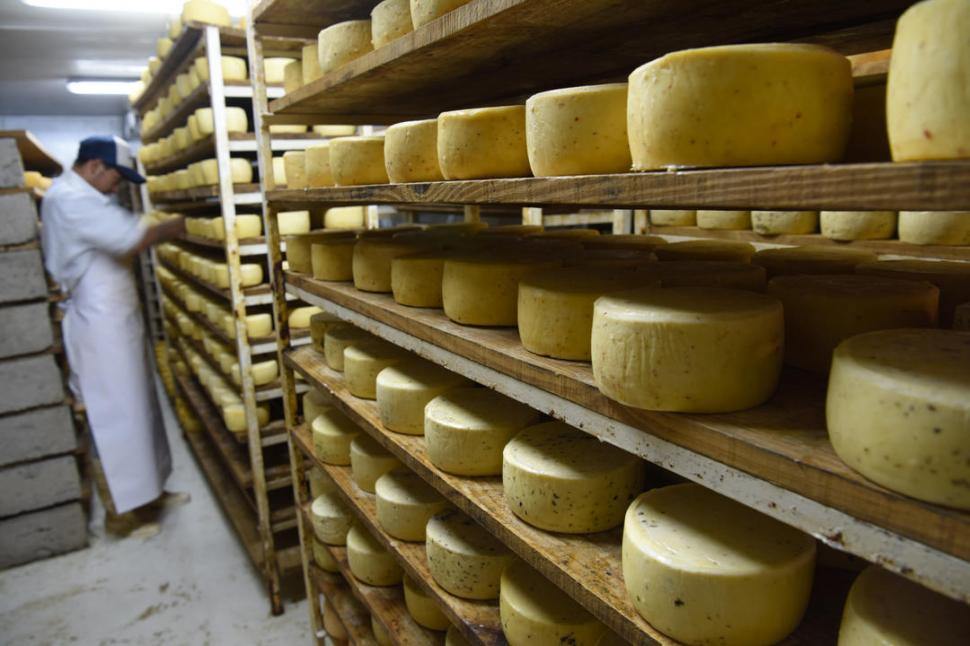 ESTANCIA LAS CARRERAS. La producción de los        quesos M se hace según una receta artesanal. 