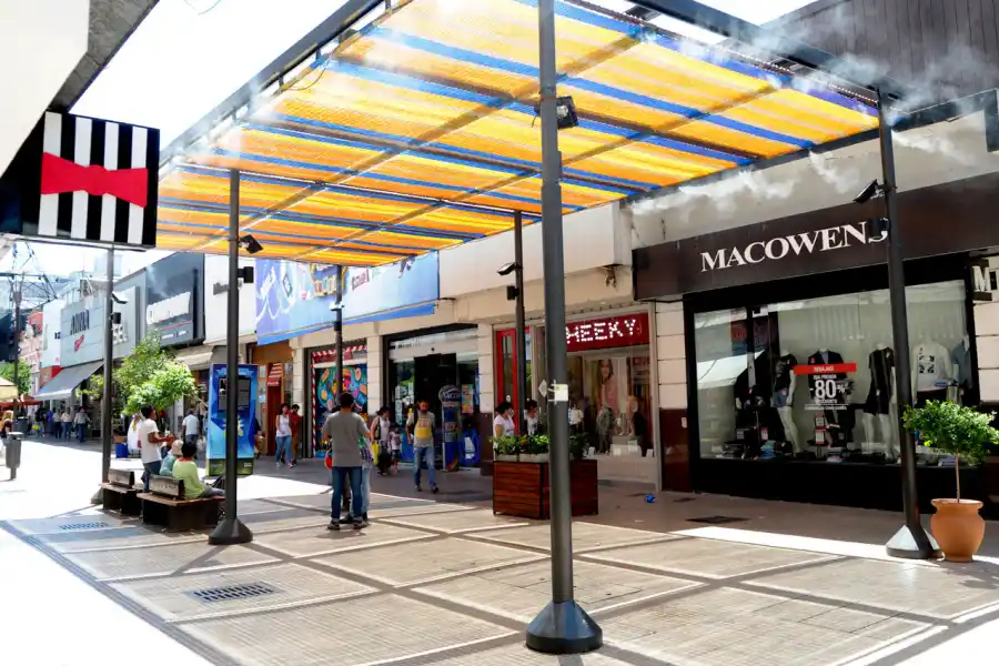 LA GACETA/FOTO DE FRANCO VERA