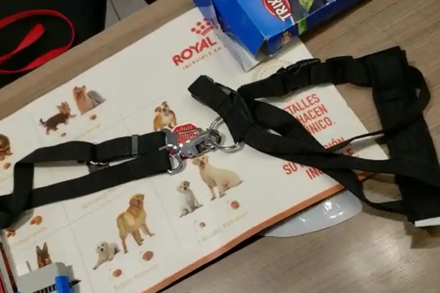 SEGURIDAD. Pretal y cinturón.