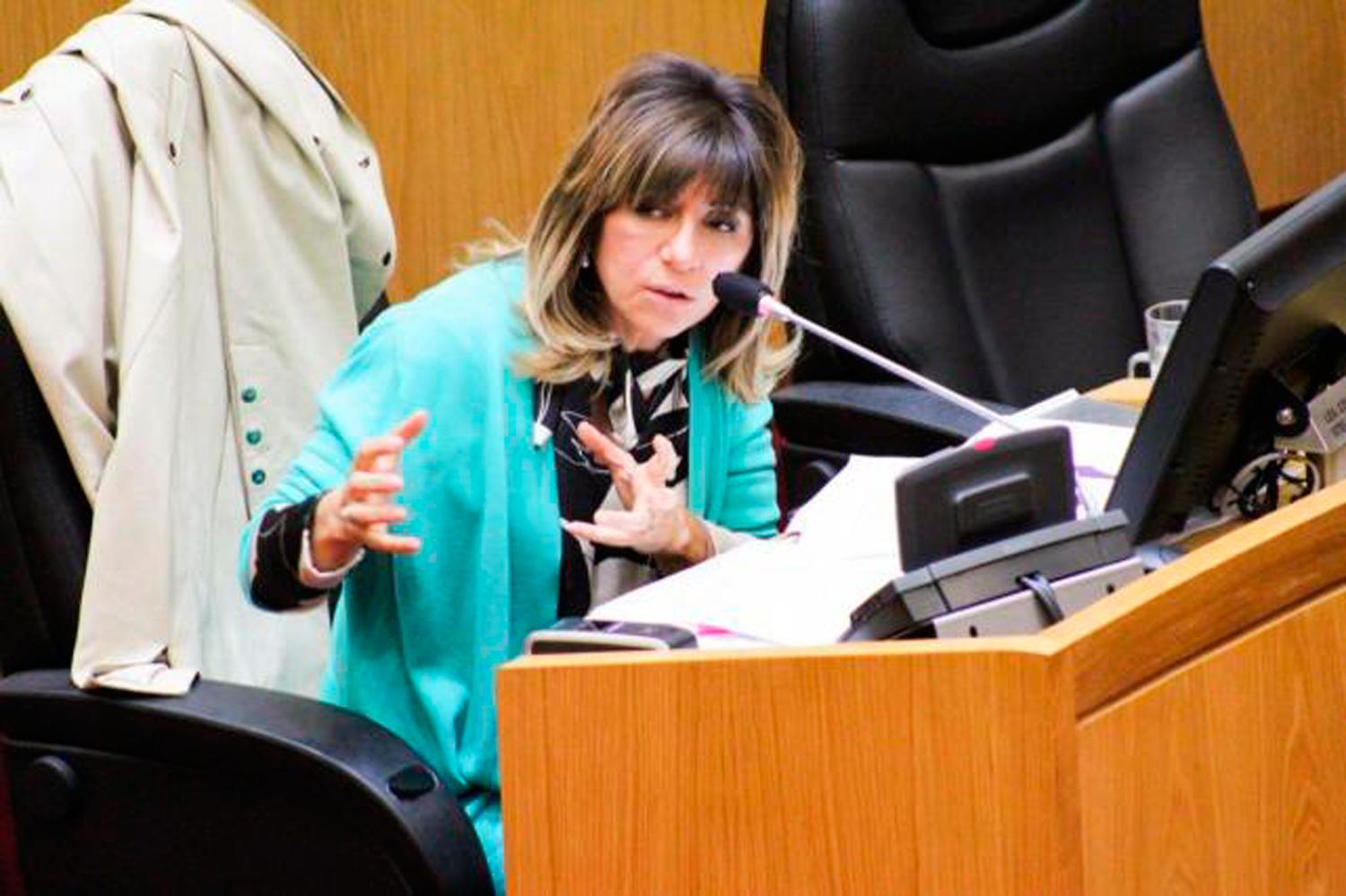 Stella Maris Córdoba habla en el recinto de la Legislatura.