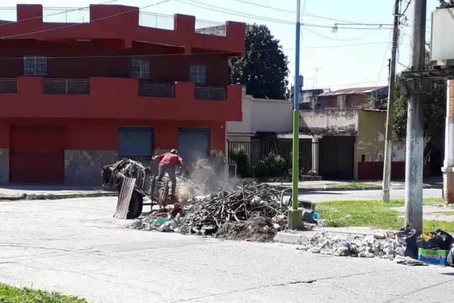 IN FRAGANTI. El carrero deposita ramas en la esquina de Italia y Thames.  