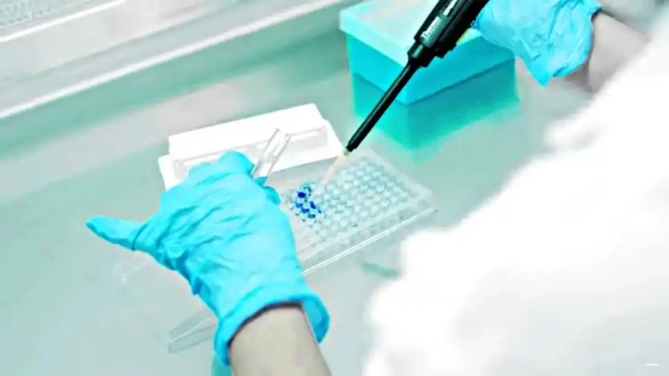 El invento que demuestra el valor de la alianza ciencia-empresa