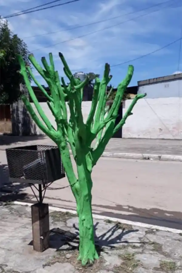 Mal día para los Assán: ahora apareció un árbol totalmente pintado de verde