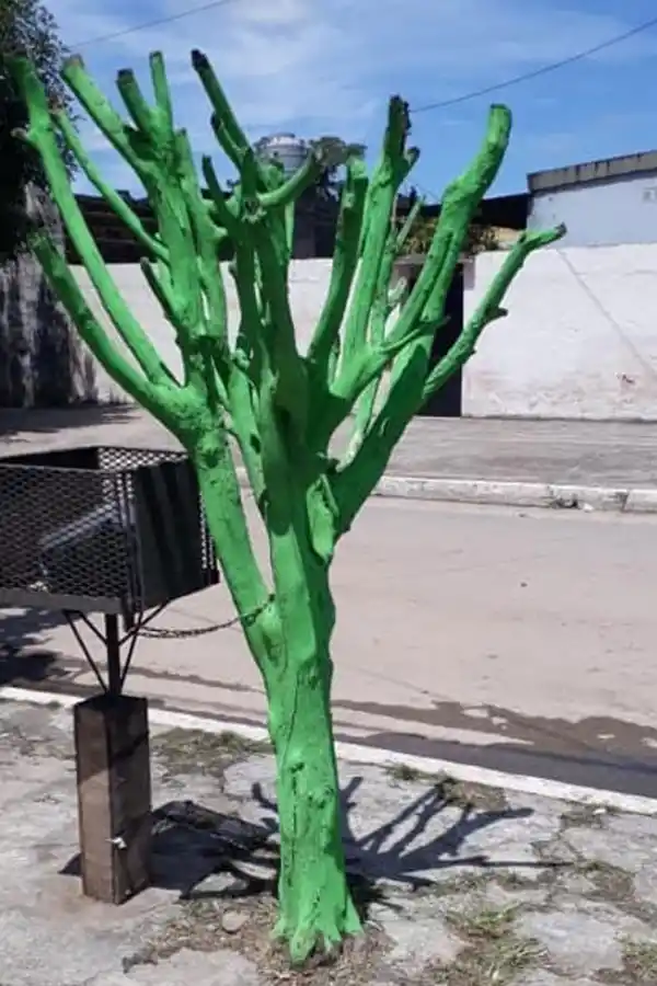 Alito y Sara Assán quieren adoptar al perro verde