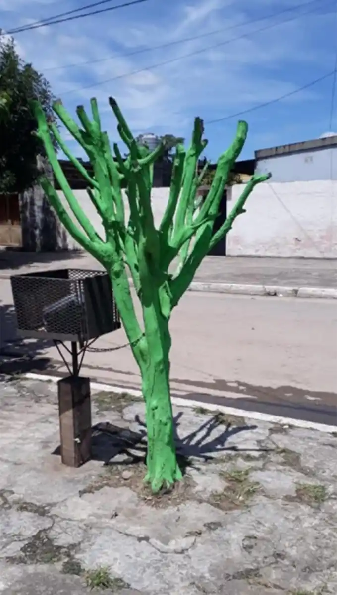 Mal día para los Assán: ahora apareció un árbol totalmente pintado de verde