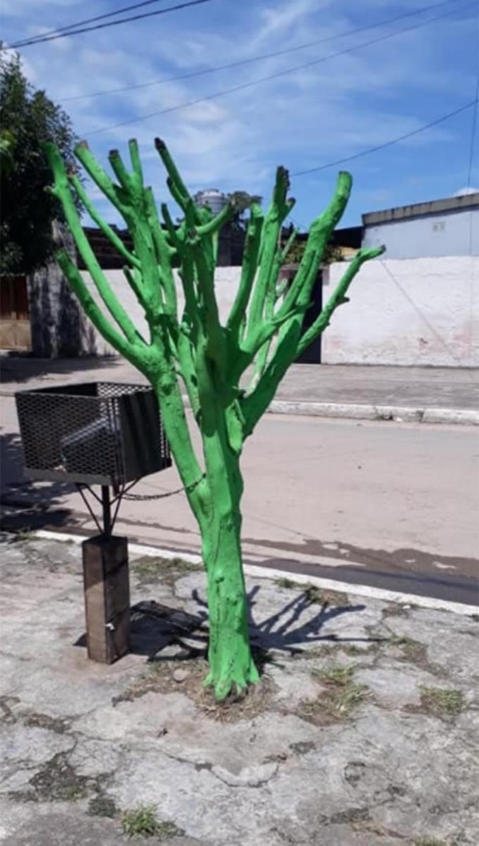 Mal día para los Assán: ahora apareció un árbol totalmente pintado de verde
