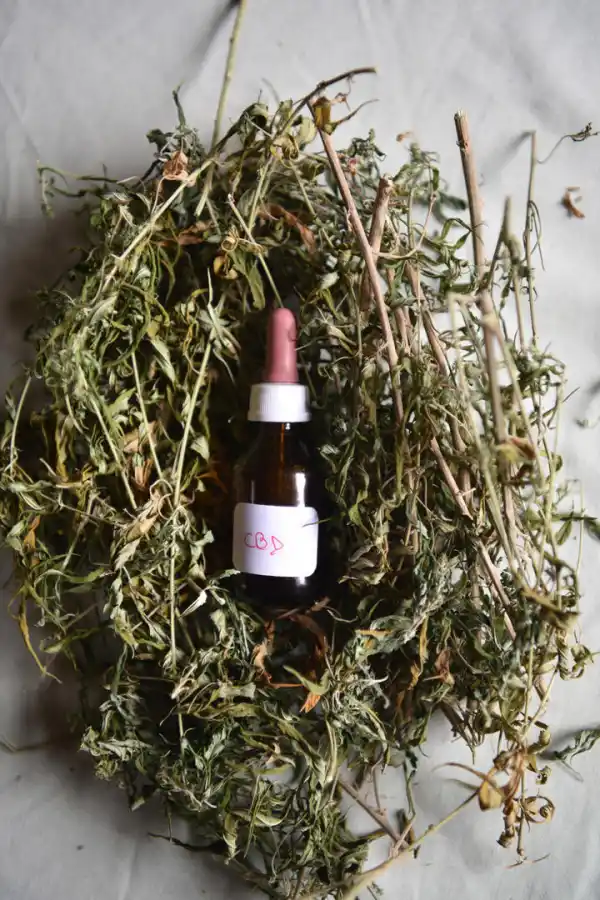 ACEITE DE CANNABIS. Con el contenido de este frasco se tratan personas con diversos problemas.