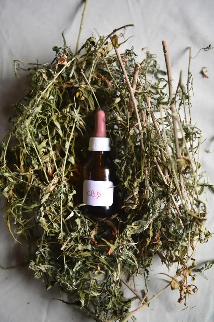 ACEITE DE CANNABIS. Con el contenido de este frasco se tratan personas con diversos problemas.