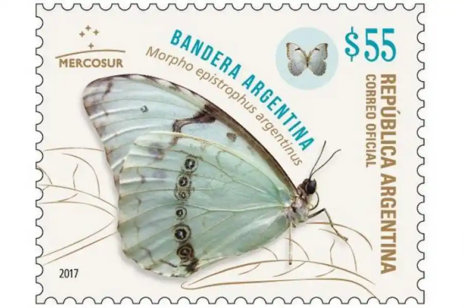  la gaceta / foto de ines quinteros orio 