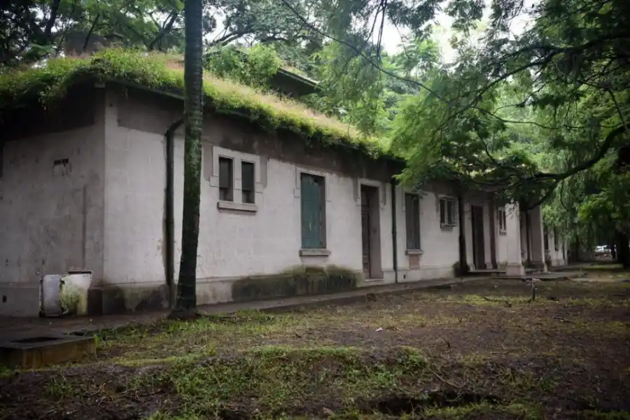 ABANDONADO. En los techos de algunos edificios crecieron arbustos.