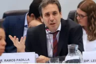 El juez Ramos Padilla dijo en el Congreso que investiga una red de espionaje político y judicial de magnitudes