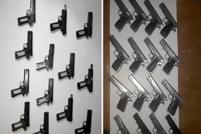 Recuperaron más de 100 armas y serán devueltas a la Policía