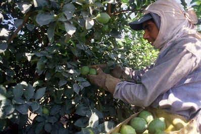 Uatre y Acnoa acordaron una suba del 47% para comenzar una zafra tranquila