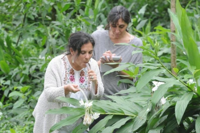 Un hallazgo ayuda a explicar el “cómo” de la biodiversidad