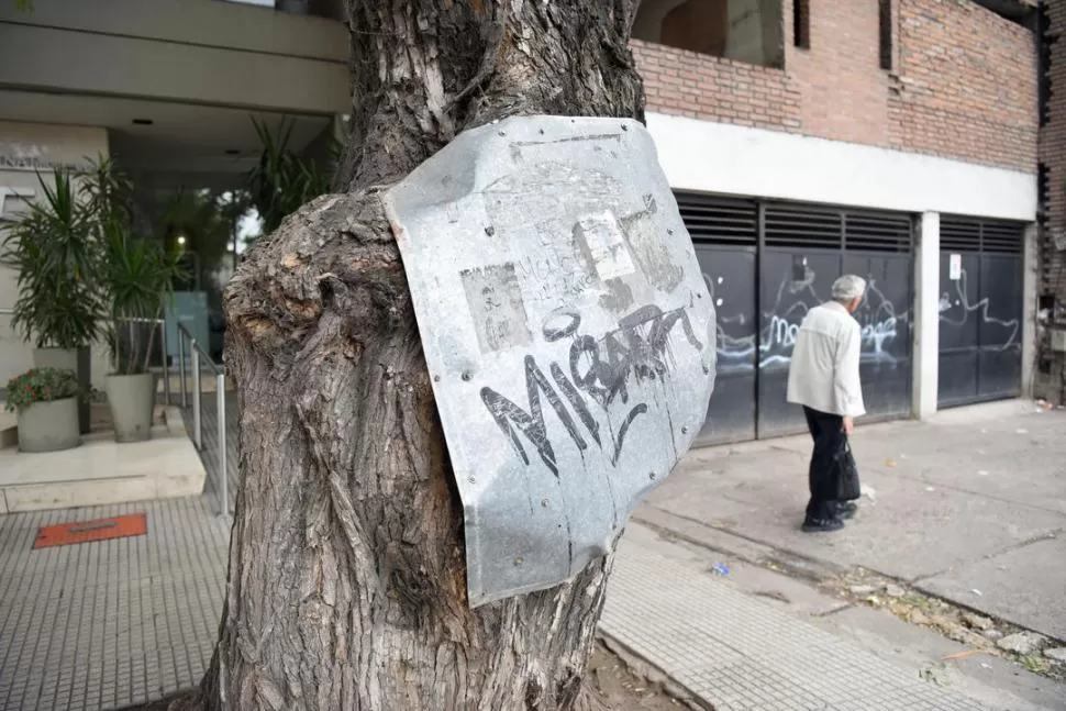 -CHAPA Y PINTURA.Vecinos de Salta al 500 dicen que clavaron una chapa en el añoso árbol para evitar que le tiren basura en un hueco.- 