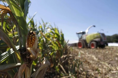 Según datos del Indec, el PBI habría retrocedido un 2,6% durante el 2018