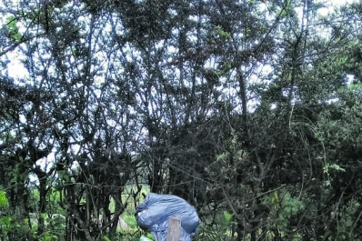 Un triste panorama mostró Raco a lo largo del verano