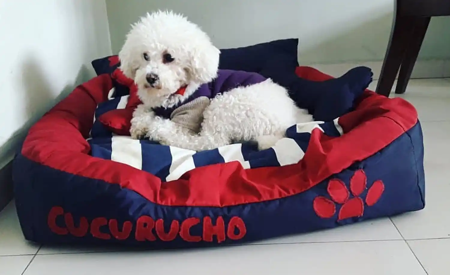 CUCURUCHO, EL MODELO. El espacio es esencial para que la mascota viva a gusto.