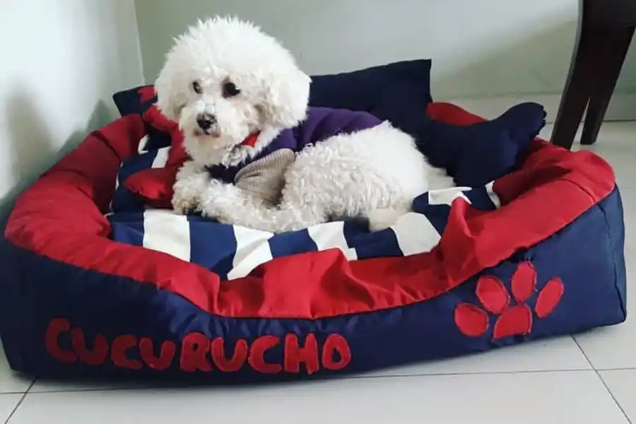 CUCURUCHO, EL MODELO. El espacio es esencial para que la mascota viva a gusto.